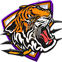 LINK TIGER138